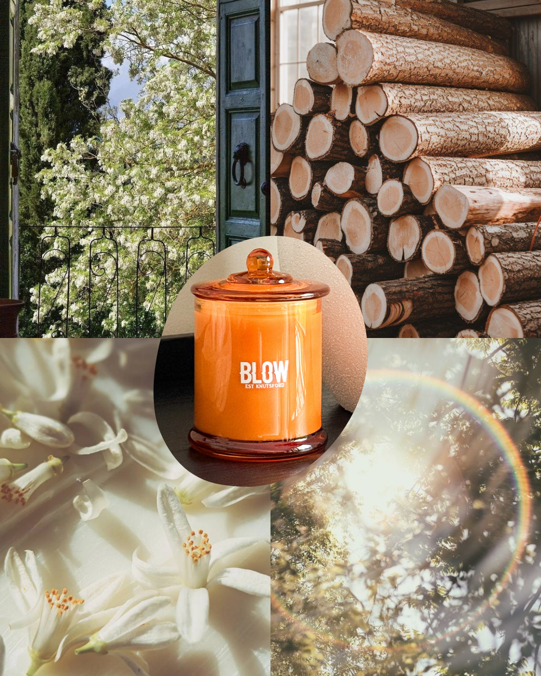 Silver Cedar & Jasmine