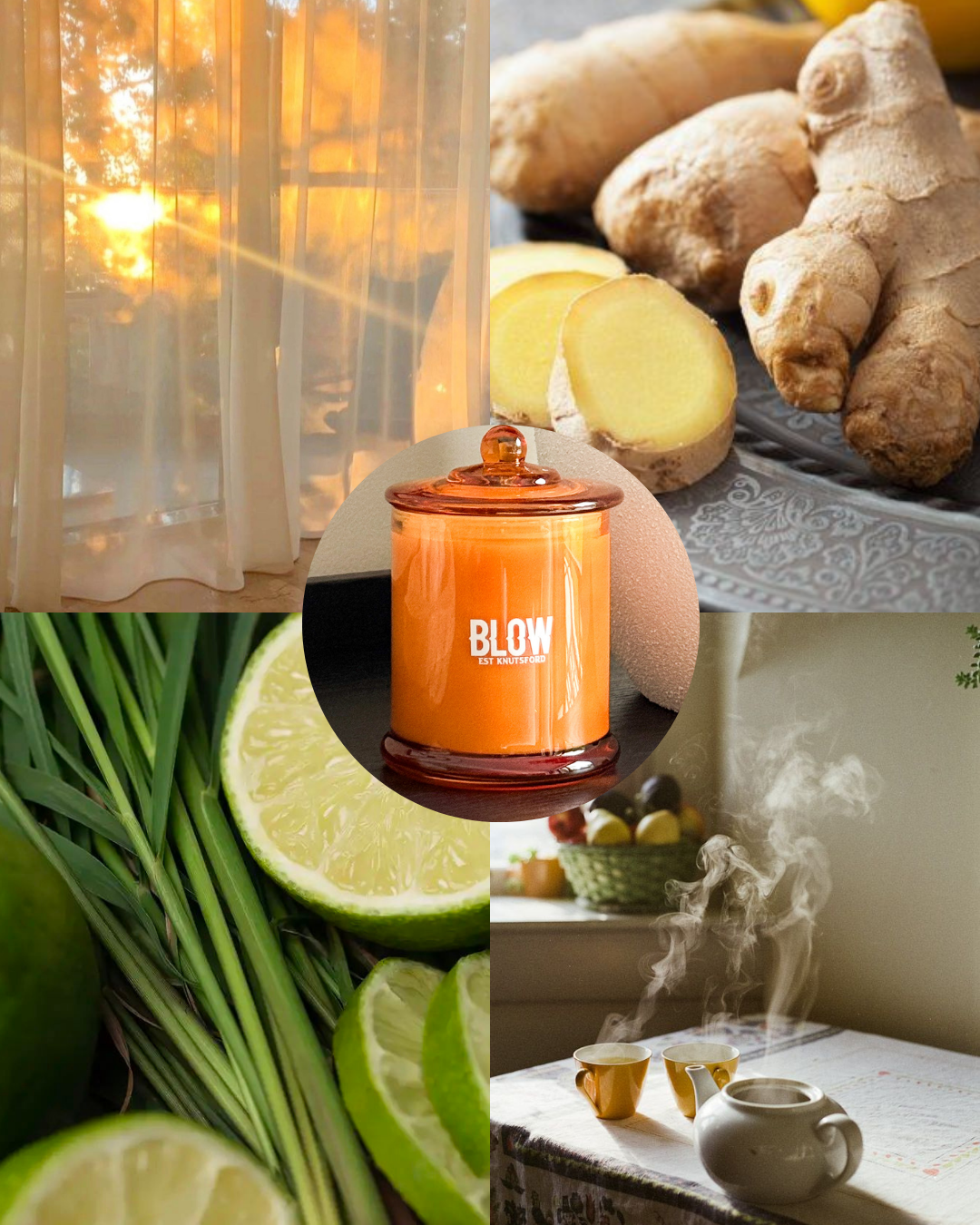 Lemongrass & Ginger Tea