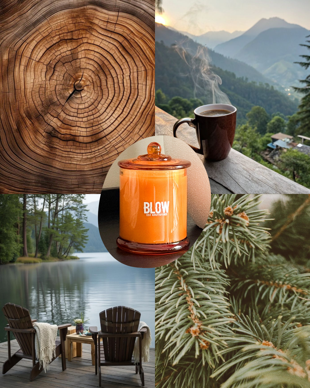 One Pine Day