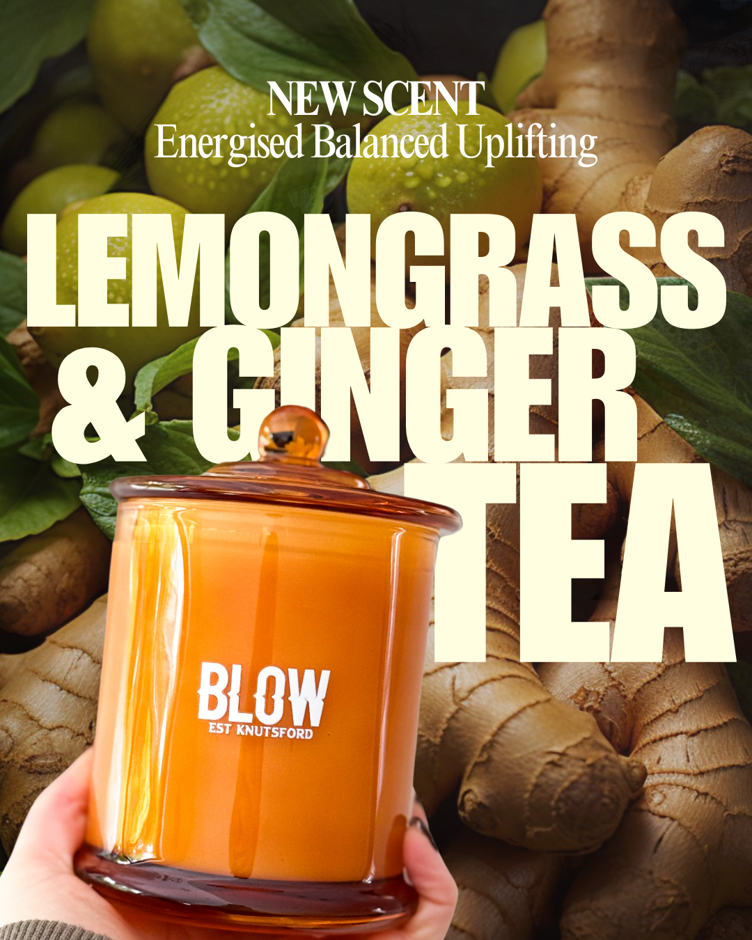 Lemongrass & Ginger Tea