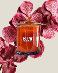Highgrove Hibiscus