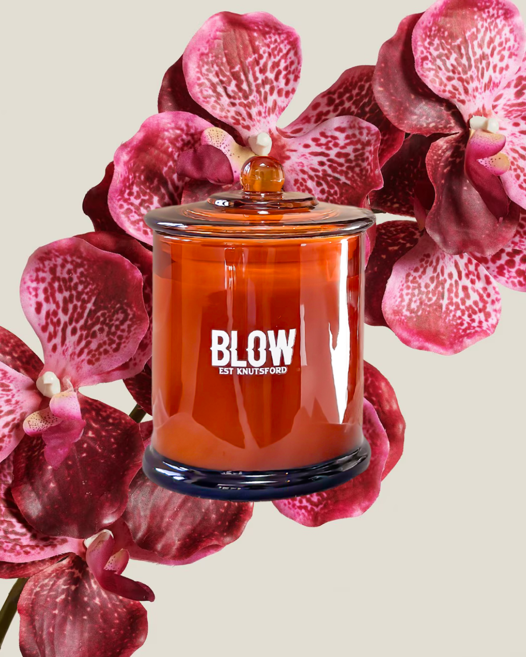Highgrove Hibiscus