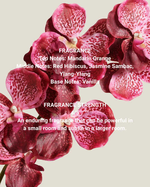 Highgrove Hibiscus
